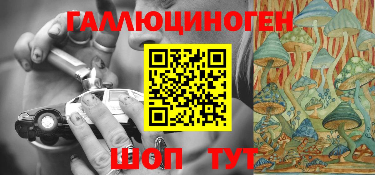 Муравленко  Псилоцибиновые грибы прущие грибы  Вход с VPN 